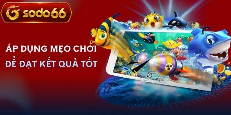ban ca long vuong sodo66 kinh nghiem choi